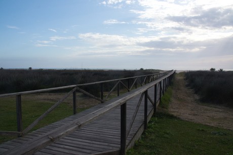 Conil de la Frontera